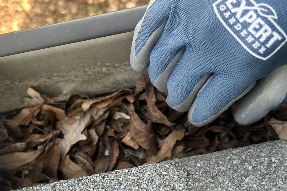 Gutter Cleaning Jersey Village, TX